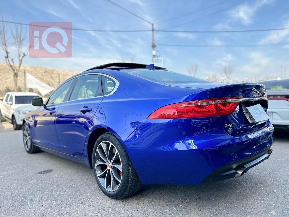 جاكوار XF